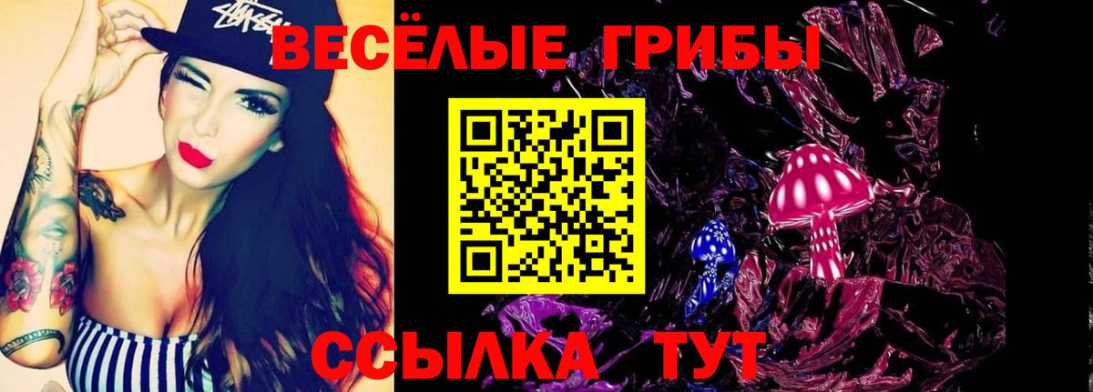 что такое наркотик  Галлюциногенные грибы мицелий  Псилоцибиновые грибы прущие грибы  Вход с VPN  Новотроицк 